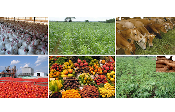 career opportunities